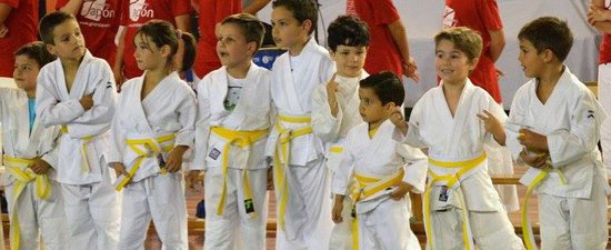 Imagen Descripción curso Técnico Deportivo en Judo y Defensa Personal - Ciclo Inicial (PRÓXIMAMENTE)