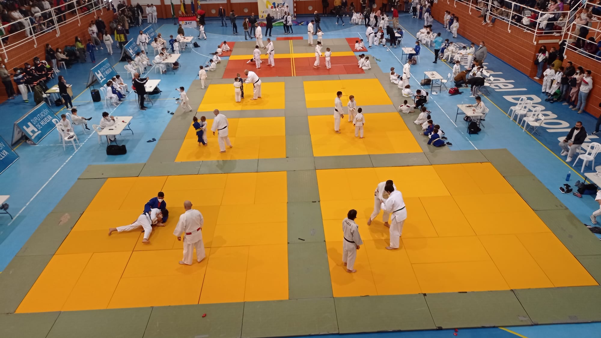 Imagen Judo y Defensa Personal (Enseñanzas Deportivas (EDRE))